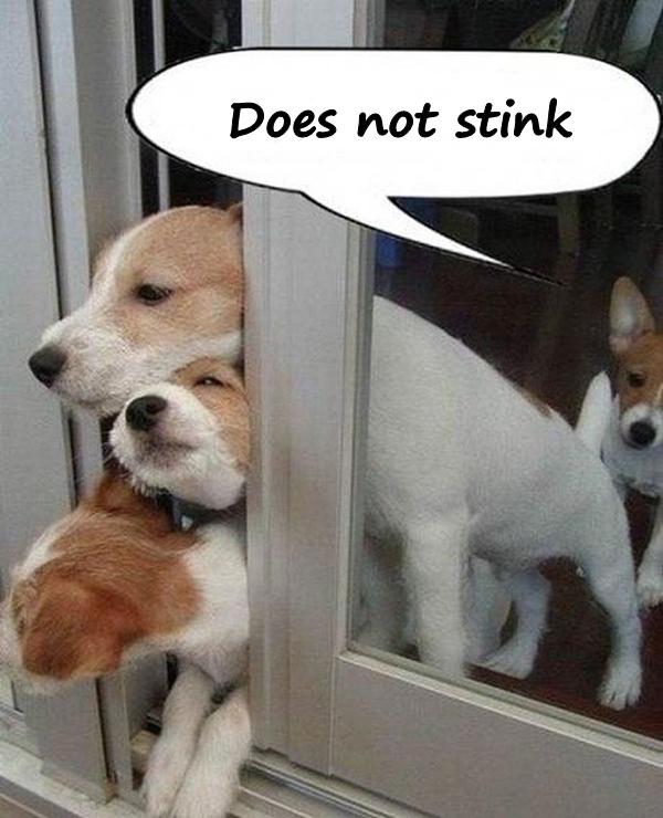 Does not stink