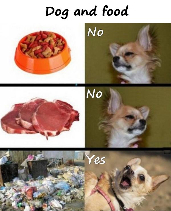 Dog and food