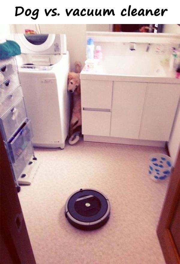 Dog vs. vacuum cleaner