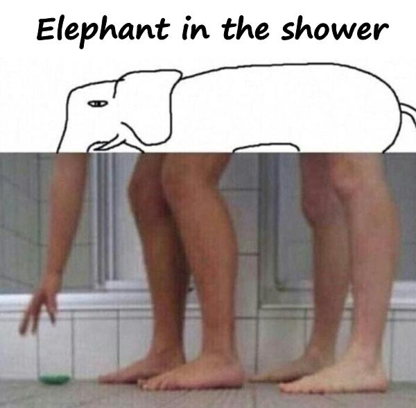 Elephant in the shower