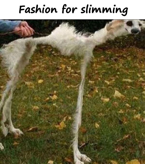 Fashion for slimming