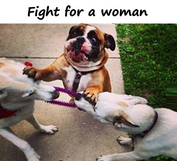 Fight for a woman