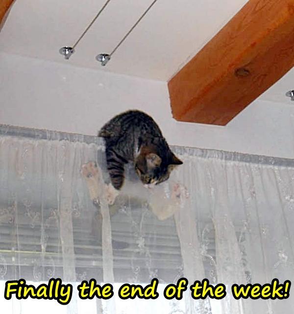 Finally the end of the week!