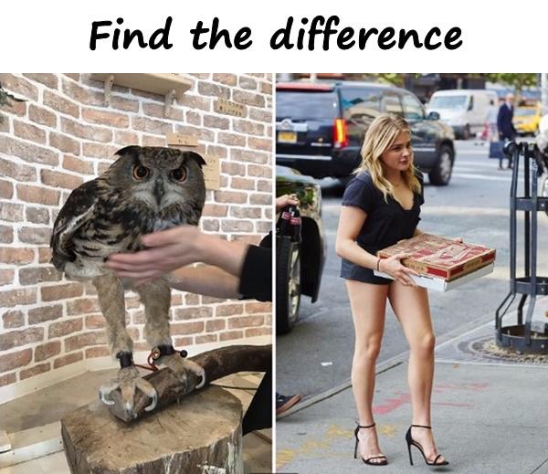 Find the difference