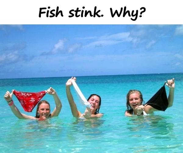 Fish stink. Why?