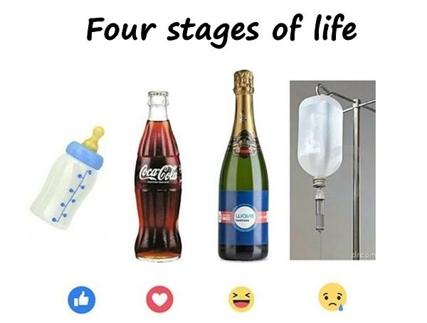 Four stages of life