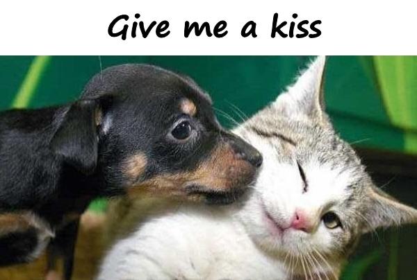Give me a kiss