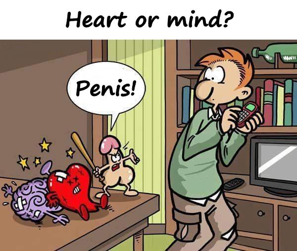 Heart or mind? Penis!