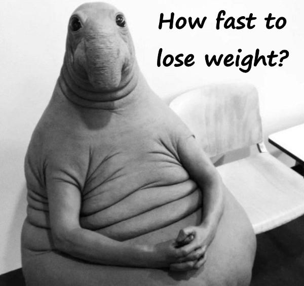 How fast to lose weight?
