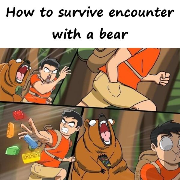 How to survive encounter with a bear