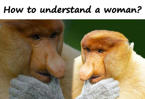 How to understand a woman?
