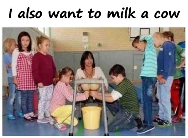 I also want to milk a cow