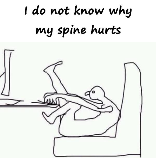 I do not know why my spine hurts