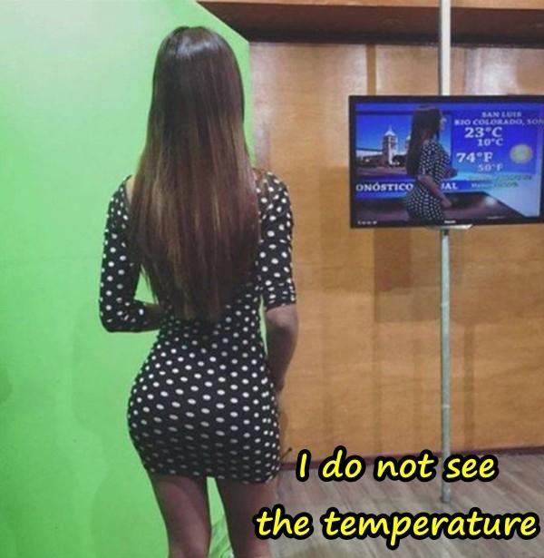 I do not see the temperature