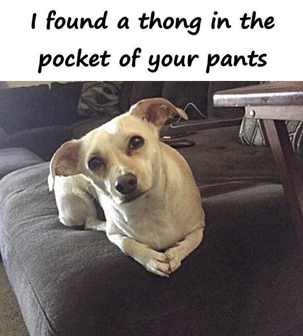 I found a thong in the pocket of your pants