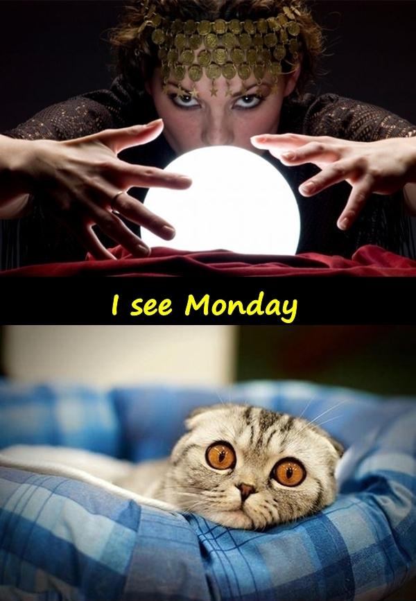 I see Monday