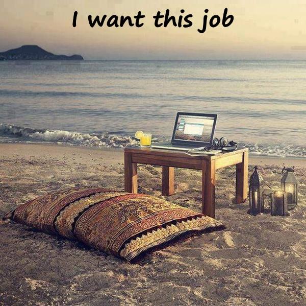 I want this job