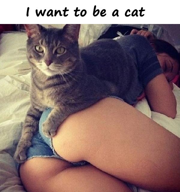 I want to be a cat