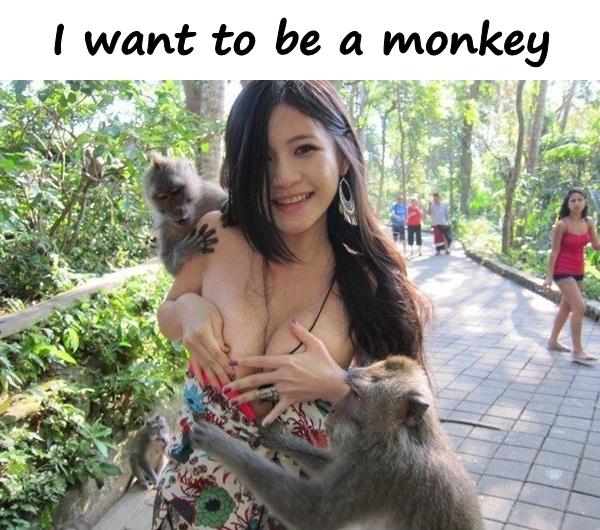 I want to be a monkey