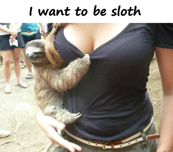 I want to be sloth