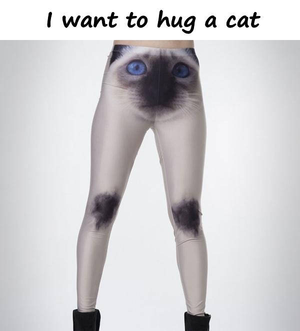 I want to hug a cat