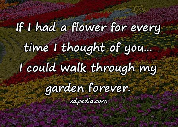 If I had a flower for every time I thought of you... I could walk through my garden forever.