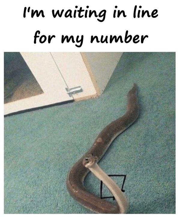 I'm waiting in line for my number