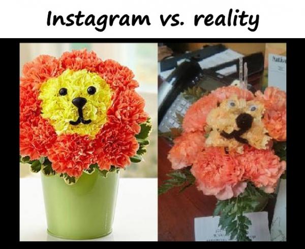 Instagram vs. reality