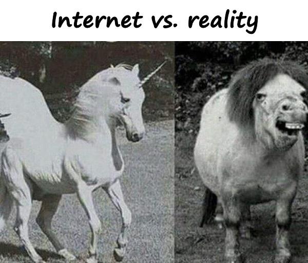 Internet vs. reality