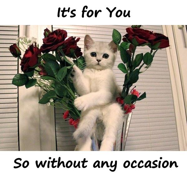 It's for You. So without any occasion.