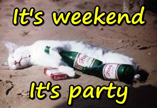 It's weekend, it's party  (3668)