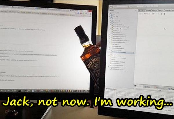 Jack, not now. I'm working...
