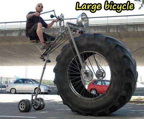 Large bicycle