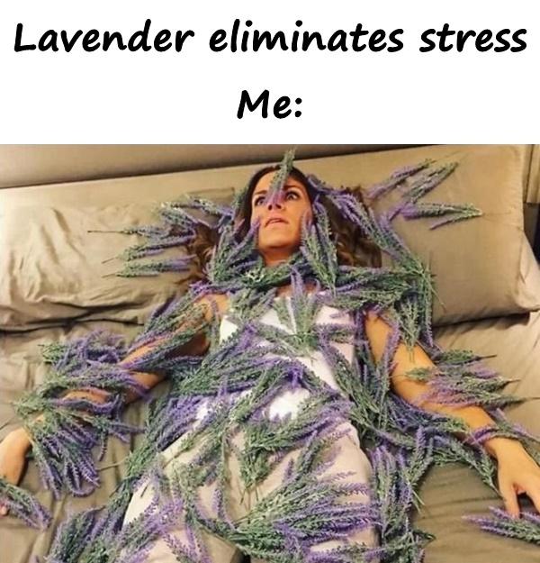 Lavender eliminates stress