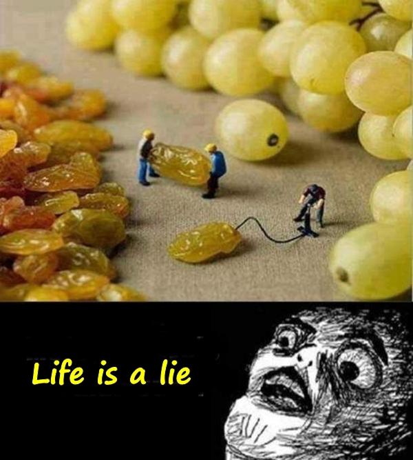 Life is a lie