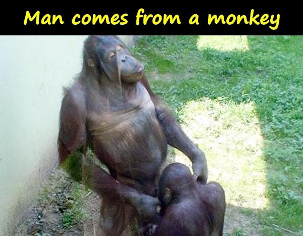 Man comes from a monkey