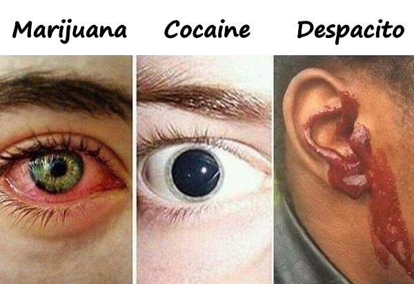 Marihuana, Kokaina, Despacito
