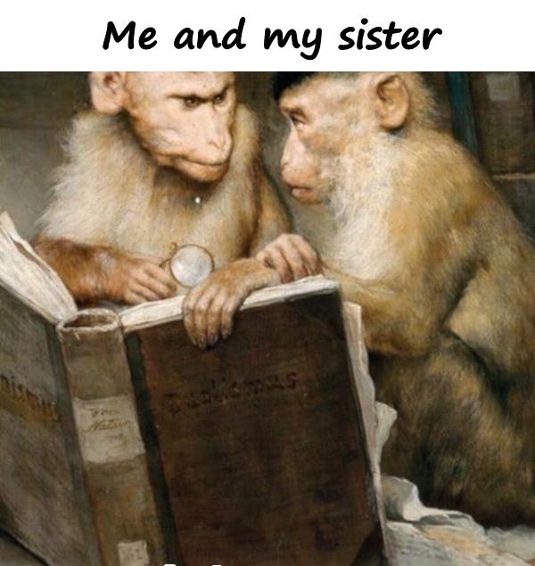 Sister - humor, crazy, brother, fight, funny pictures, meme, 