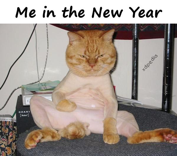 Me in the New Year