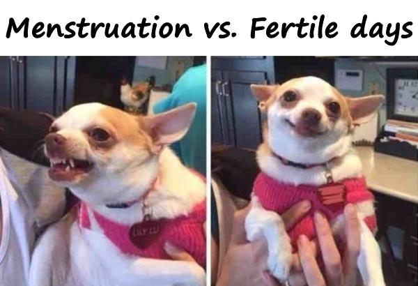 Menstruation vs. Fertile days