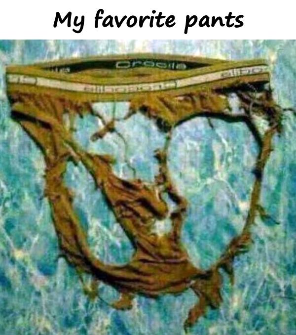 My favorite pants