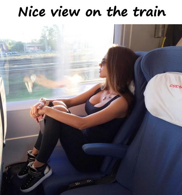 Nice view on the train