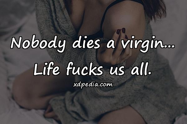 Nobody dies a virgin... Life fucks us all.