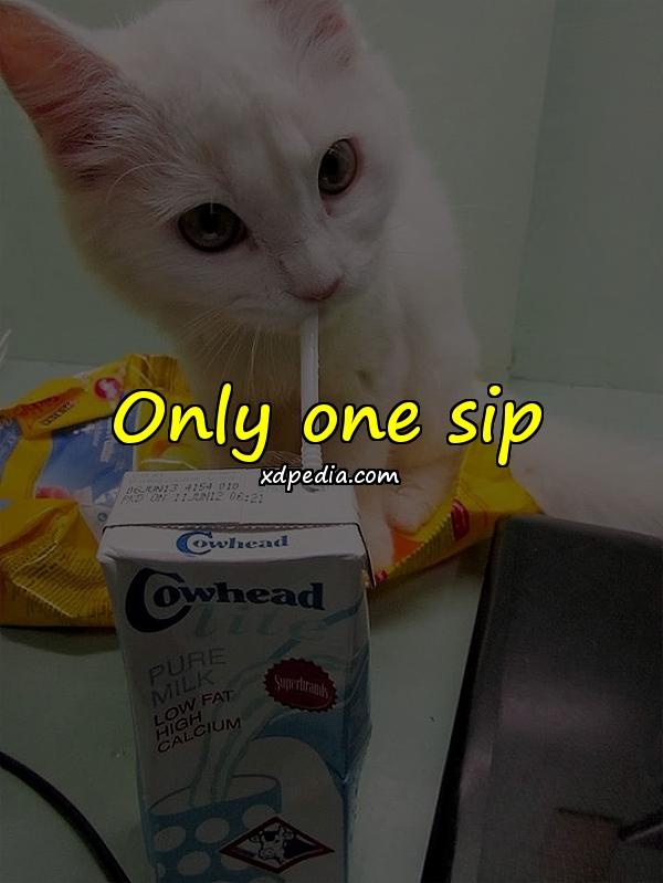 Only one sip