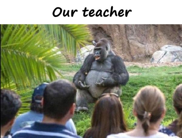 Our teacher