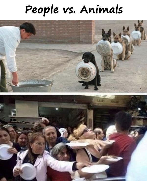 People vs. Animals