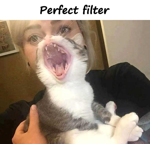 Perfect filter