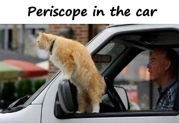 Periscope in the car