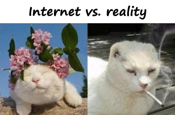 Photo - Internet vs. reality
