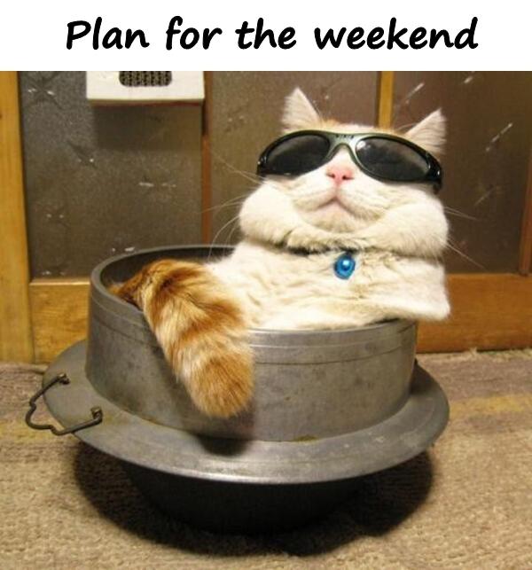 Plan for the weekend